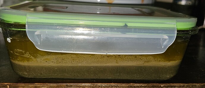 Growreport Bild 55