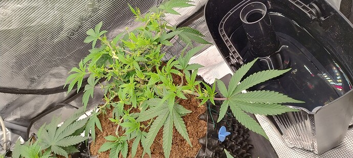 IMG_20251011_105605662_HDR