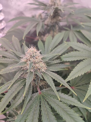 Growreport Bild 7