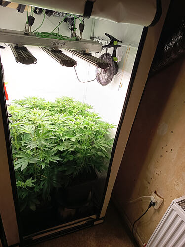 Growreport Bild 14