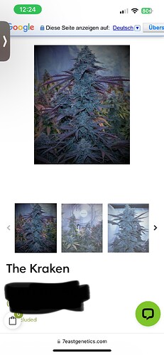 Growreport Bild 13