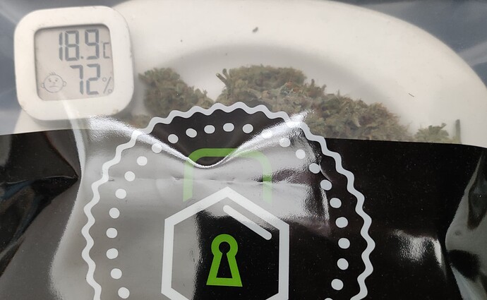 Growreport Bild 37