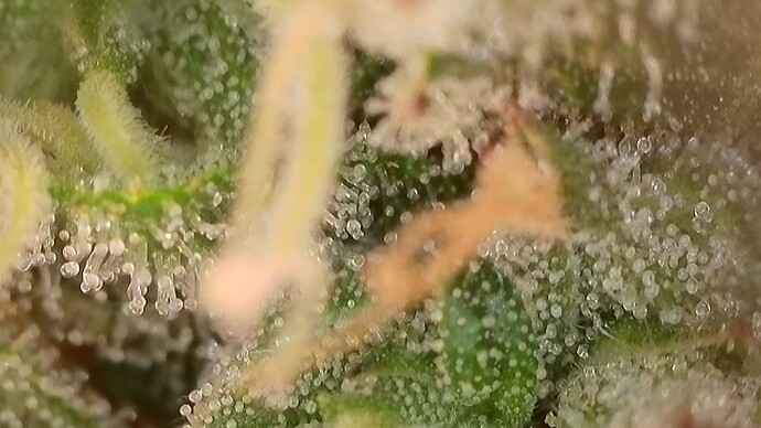 2025-10-22-075456248