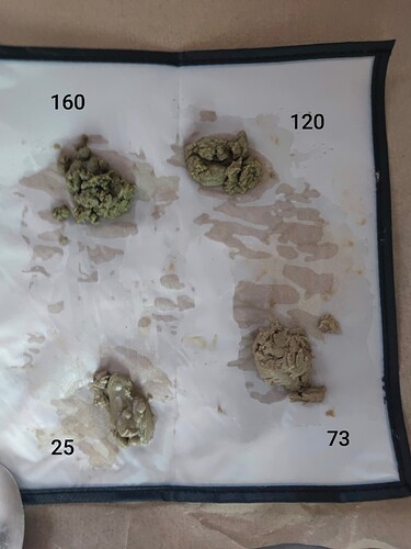 Growreport Bild 24