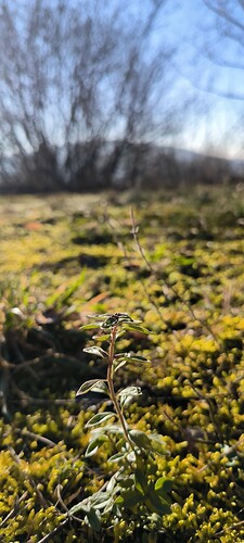 Growreport Bild 15