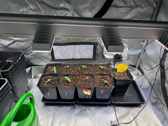 Growreport Bild 7