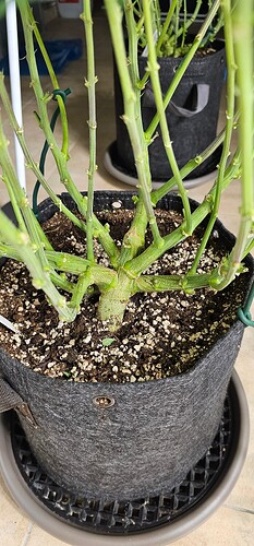 Growreport Bild 48