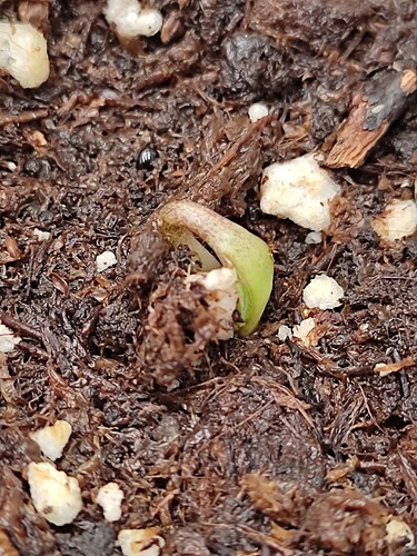 Growreport Bild 15