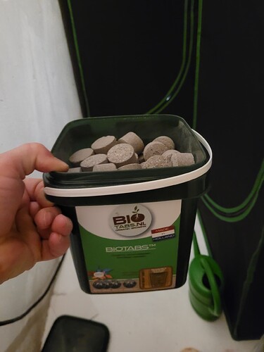 Growreport Bild 5