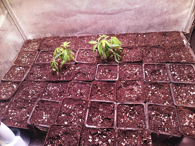 Growreport Bild 15