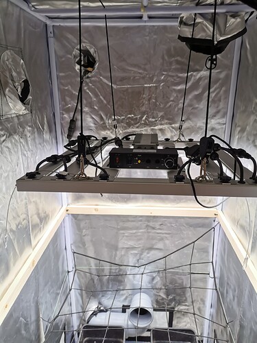 IMG_20241026_1326001