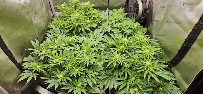 Growreport Bild 4