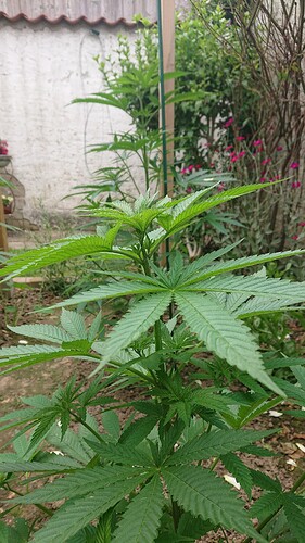 Growreport Bild 18