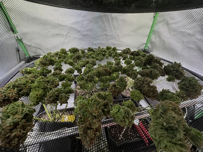 Growreport Bild 20
