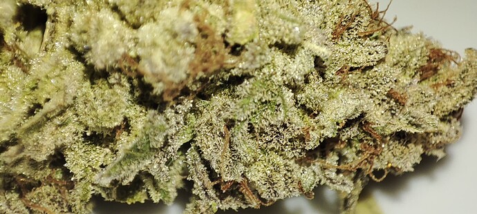 Growreport Bild 57