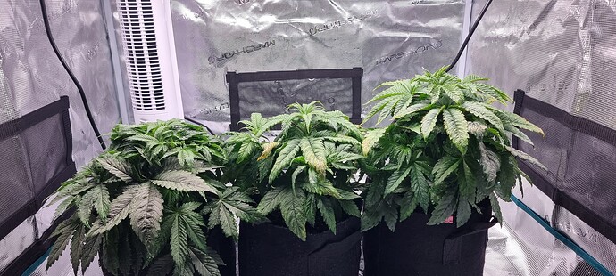 Growreport Bild 15