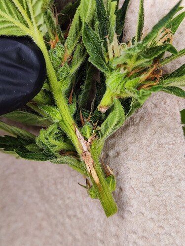 Growreport Bild 23