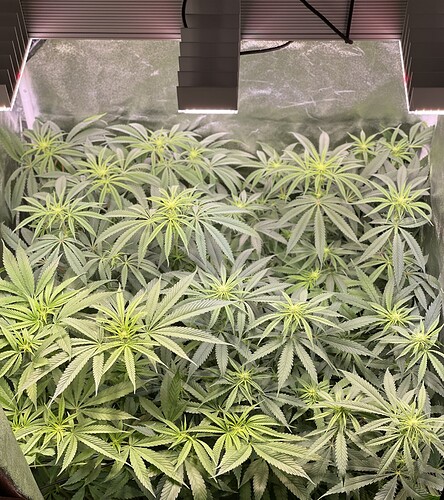 Growreport Bild 17