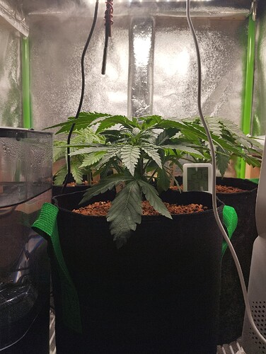 Growreport Bild 8