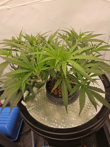 Growreport Bild 10