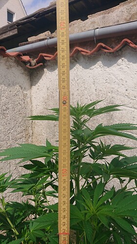 Growreport Bild 22
