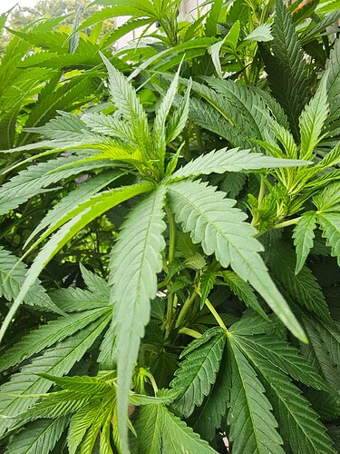Growreport Bild 21