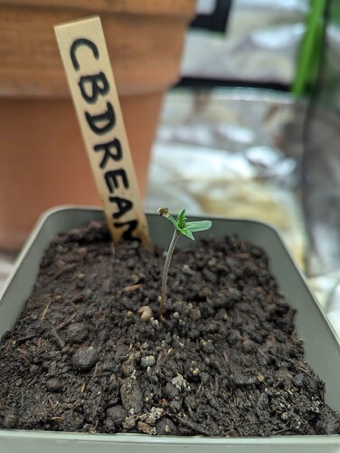 PXL_20240703_201222096.RAW-01.COVER