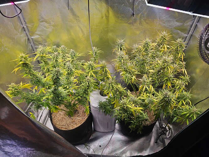 Growreport Bild 13
