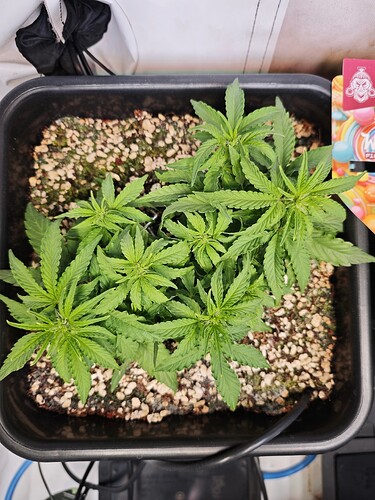 MVIMG_20251013_172648