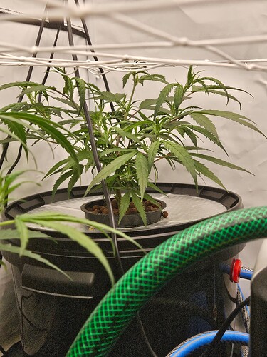 Growreport Bild 7