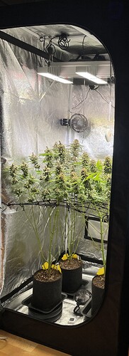 Growreport Bild 28