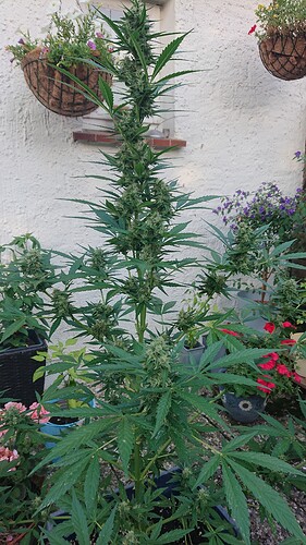 Growreport Bild 14