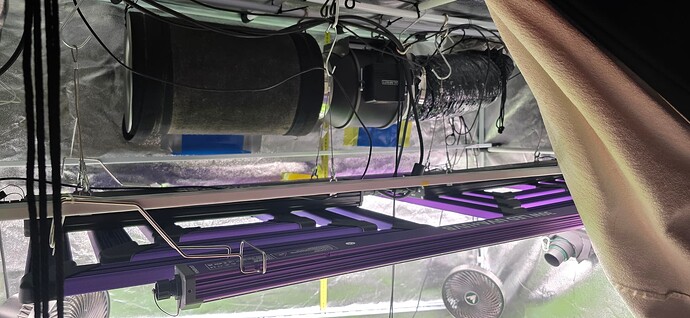 Growreport Bild 10