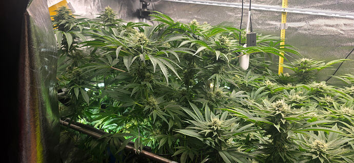 Growreport Bild 21