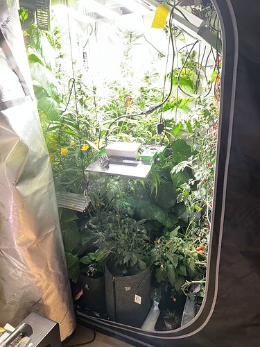 Growreport Bild 32