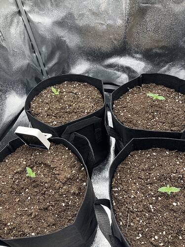 Growreport Bild 9