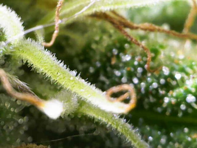 Growreport Bild 26