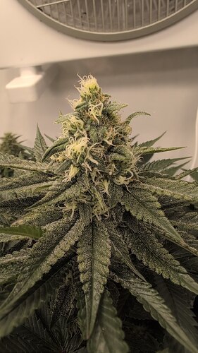 photo_2025-08-14_23-31-06