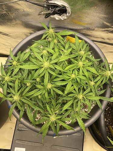Growreport Bild 23