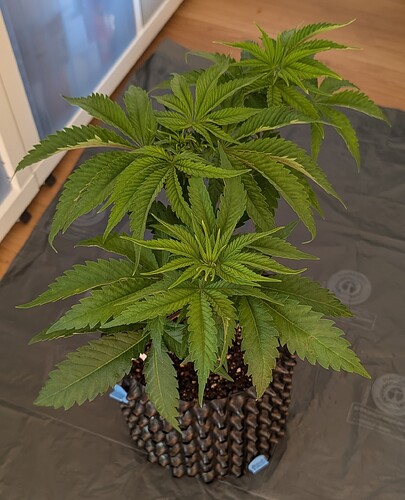 Growreport Bild 8