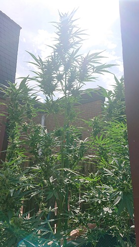 Growreport Bild 22
