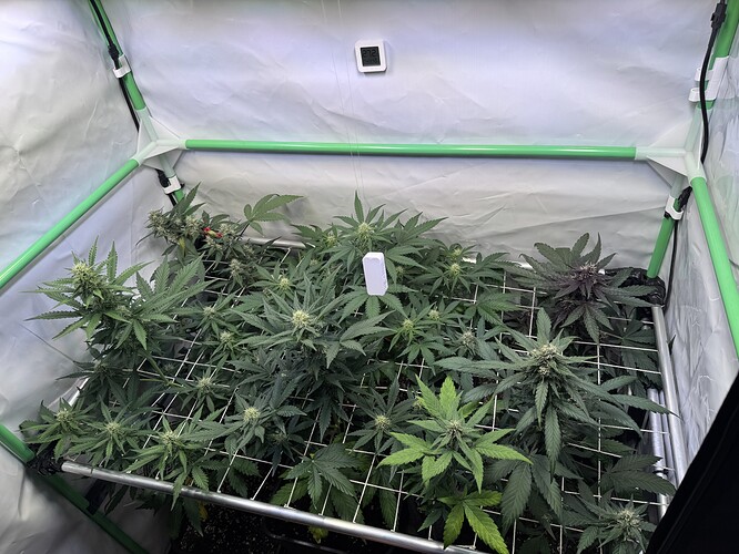 Growreport Bild 20