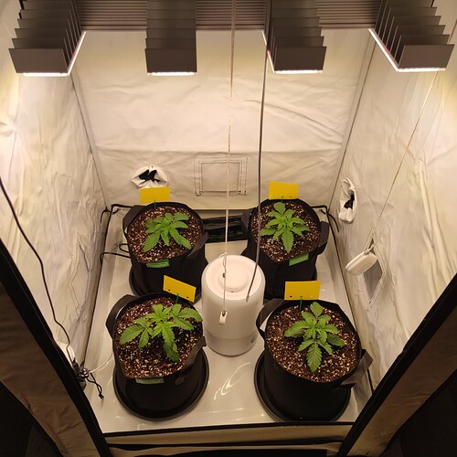 Growreport Bild 2