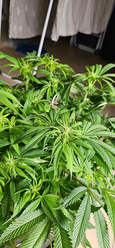 Growreport Bild 21