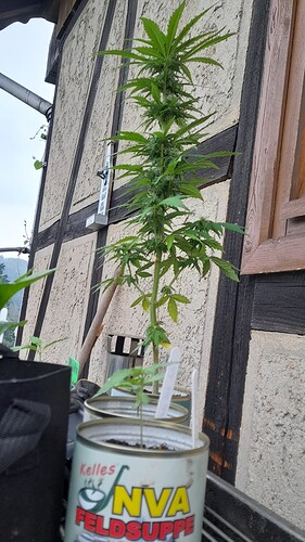 Growreport Bild 11