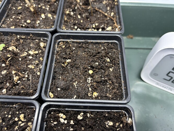 Growreport Bild 8