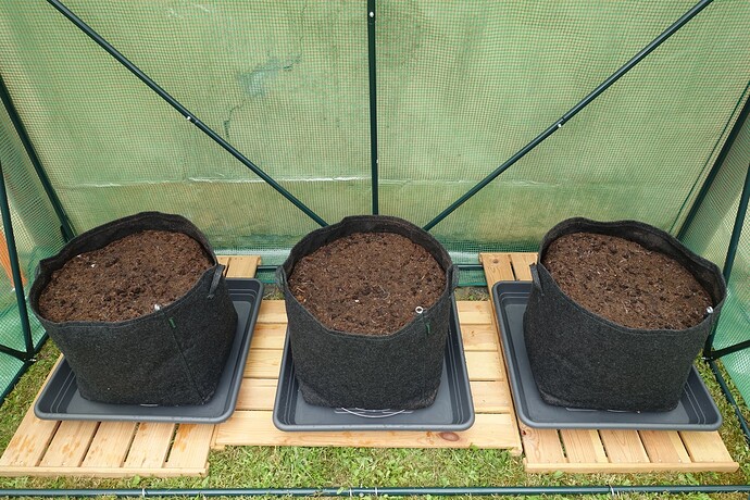 Growreport Bild 8