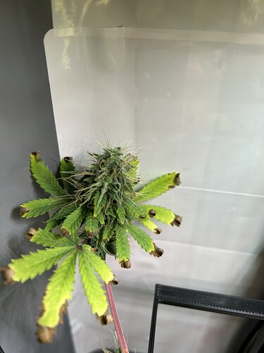 Growreport Bild 4