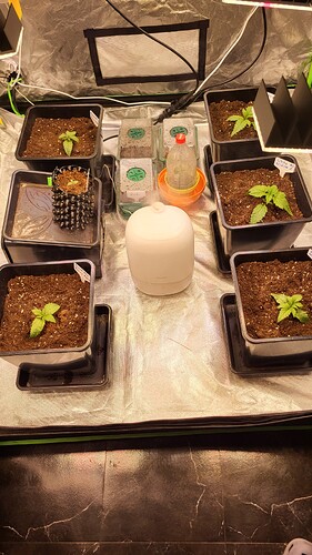 Growreport Bild 1