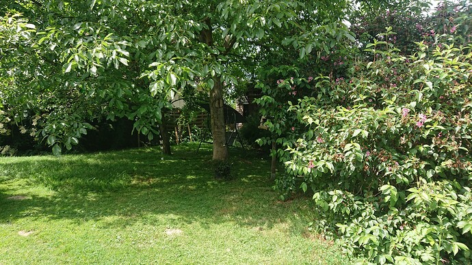 Growreport Bild 23